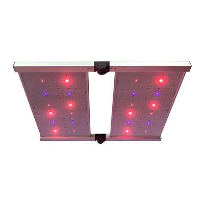 RedFarm 480W 3500K Quantum Board LED تنمو الأضواء Samsung LM301H