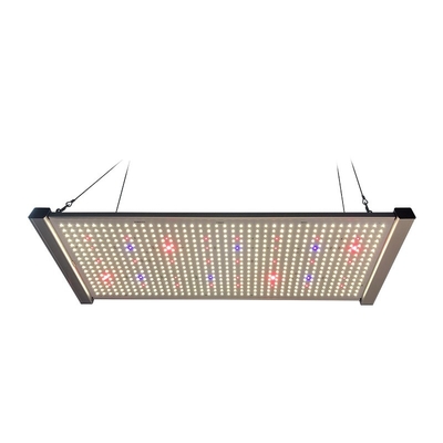320W لوحة الكم LED تنمو الأضواء الطيف الكامل SEOUL UV 395nm