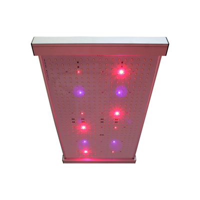 ضوء نمو LED 2x2 من الكم